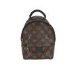 Louis Vuitton Palmsprings Mini Backpack Hot on Sale