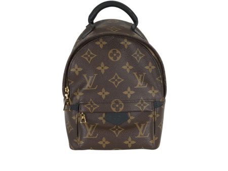 Louis Vuitton Palmsprings Mini Backpack Hot on Sale