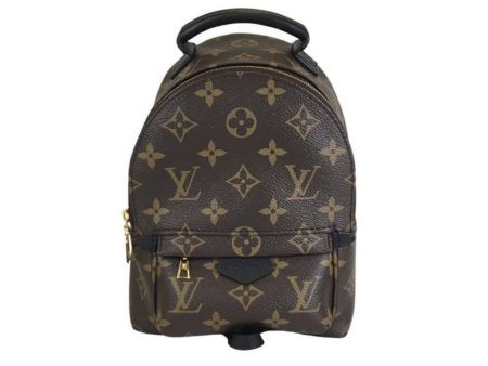 Louis Vuitton Palm Springs Mini Backpack Hot on Sale