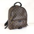 Louis Vuitton Palmsprings Backpack For Sale