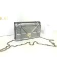 Dior Diorama Wallet On Chain (WOC) Online