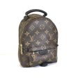 Louis Vuitton Palm Springs Mini Backpack Hot on Sale