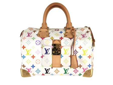 Louis Vuitton Multicolor Speedy 30 Hot on Sale