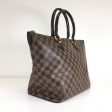 Louis Vuitton Saleya MM For Discount