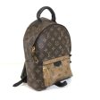 Louis Vuitton Palm Springs PM Backpack Online Hot Sale