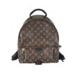 Louis Vuitton Palmsprings Backpack For Sale