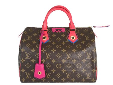 Louis Vuitton Speedy Totem Sale