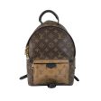 Louis Vuitton Palm Springs PM Backpack Online Hot Sale