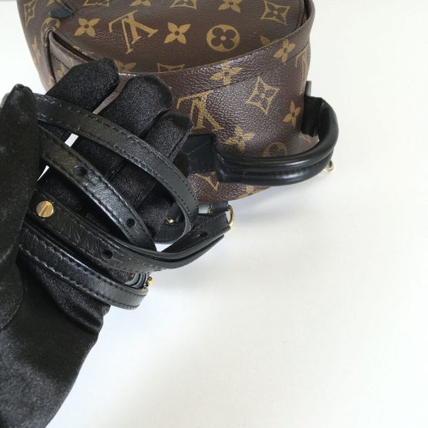 Louis Vuitton Palmsprings Mini Backpack Hot on Sale