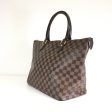 Louis Vuitton Saleya MM For Discount