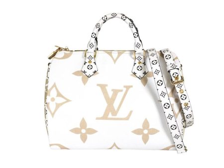 Louis Vuitton Speedy Giant Sale