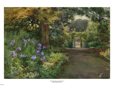 The Lilac Phlox, Kilmurry, County Kilkenny Art Print Discount