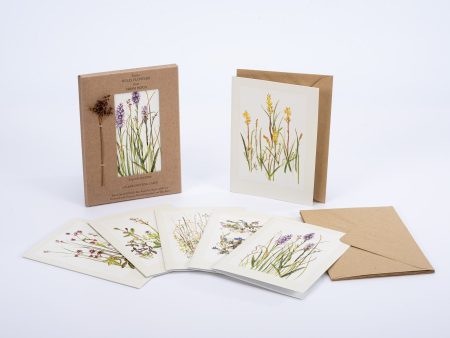 Native Irish Bog Flowers Greeting Cards Online now