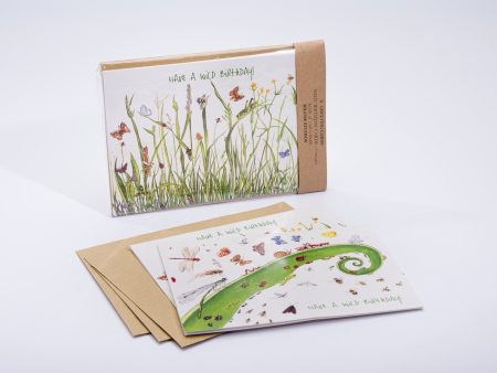 Wild Birthday Cards 6 pack Greeting Cards- Kilcoe Hot on Sale