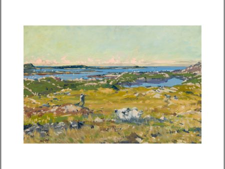 Early Morning, Connemara Canvas Print Online Hot Sale