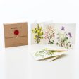 Native Irish Wildflowers Greeting Cards Supply