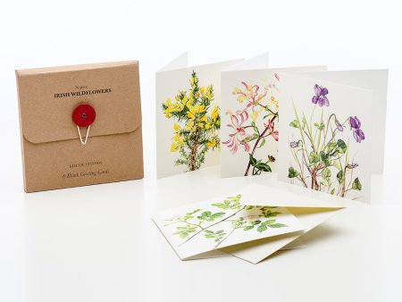 Native Irish Wildflowers Greeting Cards Supply