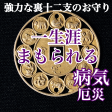 《限定》 生涯あなたを護る 開運厄除十二支大古銭 Online Hot Sale