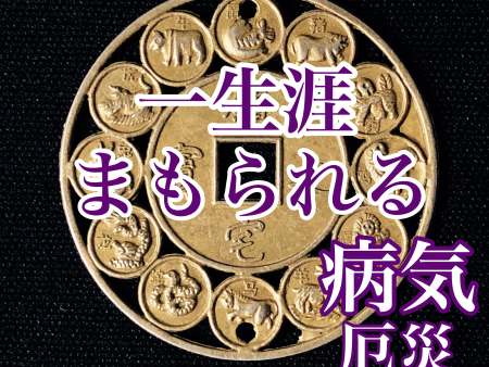 《限定》 生涯あなたを護る 開運厄除十二支大古銭 Online Hot Sale