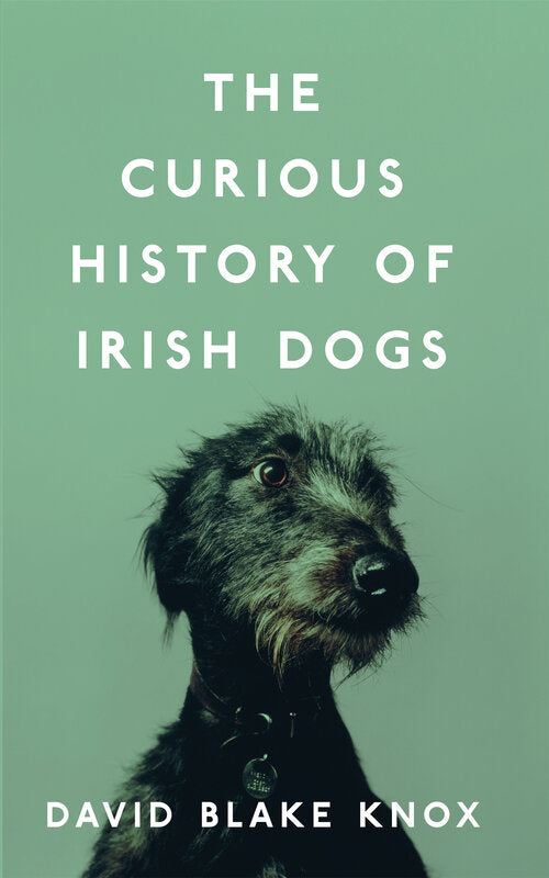 The Curious History of Irish Dogs on Sale